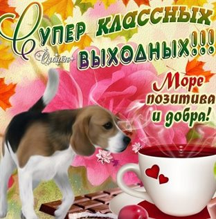 Светлые пожелания