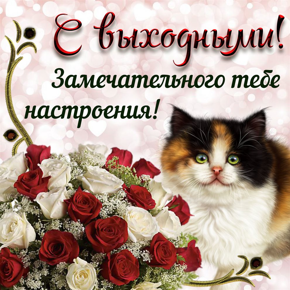 Искренние пожелания