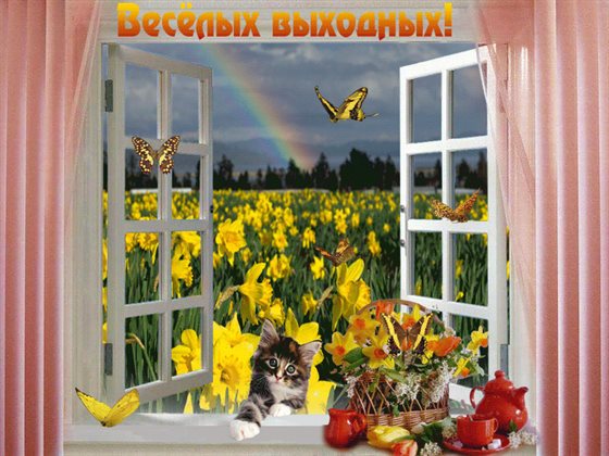 Больше радости в жизни