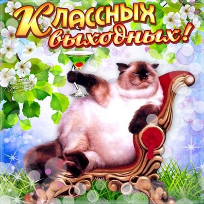 Лучшие пожелания