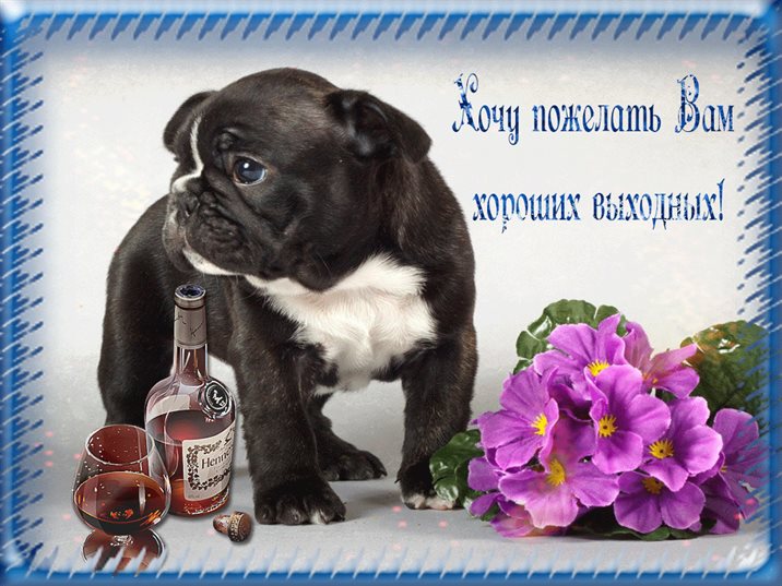 Немного волшебства в ваш день